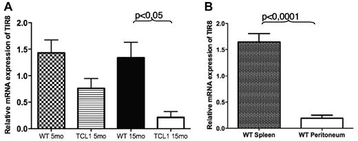 Figure 1. TIR8 mRNA expression in mice. (A) Relative mRNA expression of TIR8 in CD19+ enriched splenocytes of TCL1tg/tg (TCL1) and wild type (WT) mice of indicated age. The expression of TIR8 was normalized to mGAPDH and the results presented as ratio between normalized TIR8 expression in the target samples and the calibrator (mean value of 3 samples of total WT splenocytes). Data shown are average of 3 mice ± SEM. Statistical significance was analyzed by t test. (B) Relative mRNA expression of TIR8 in CD19+ enriched splenocytes (mean purity of CD19+ cells: 83% of which CD19+ CD5+ cells: 4%) and peritoneal cells (mean percentage CD19+ cells: 61% of which CD19+ CD5+ cells were 56%). Seven mice were analyzed: 5 animals at the age of 15 months and 2 animals at the age of 22 months. The expression of TIR8 was normalized to mGAPDH and the results are presented as ratio between normalized TIR8 expression in the target samples and the calibrator (mean value of 3 replicates of total WT splenocytes with 27% CD19+ cells and 4.5% CD19+ CD5+ cells). Data shown are average of 7 mice ± SEM. Statistical significance was analyzed by t test.