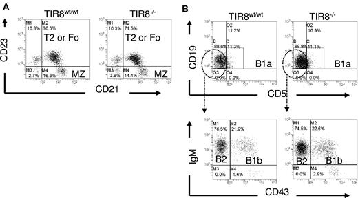 Figure 2. Normal B cell populations in mice lacking TIR8. (A-B) Dot plots of flow cytometric analysis of CD19+ B lineage cells to define different populations in WT and TIR8−/− mice. Splenic marginal zone (MZ) B cells (CD21+CD23−), type 2 (T2) or mature recirculating follicular (Fo) B cells (CD21+ CD23+; A); peritoneal B1a (CD5+CD19+), B1b (CD43+IgM+) and B2 cells (CD43−IgM+; B). Data are representative of 3 animals 3 months old.
