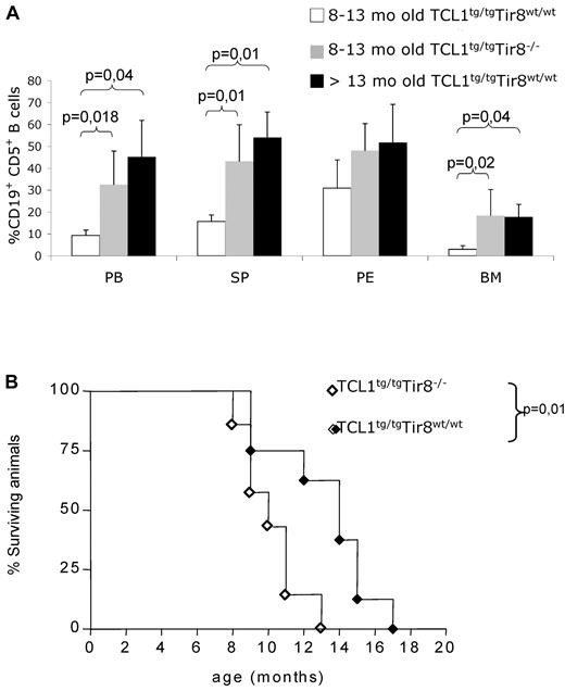 Figure 3. Premature CLL-like expansions and shorter life span in TCL1 transgenic mice lacking TIR8. (A) 8-13 months old TCL1tg/tgTIR8wt/wt mice (n = 6, mean age: 10 months ± 0), age-matched TCL1tg/tgTIR8−/− (n = 6, mean age: 10 months ± 1.8 as described in Table 1) and > 13 months old TCL1tg/tgTIR8wt/wt (n = 3, one 18 months, one 19 months and one 14 months old, respectively; mean age 17 months ± 2.6) mice were analyzed for accumulation of CD19+CD5+ B cells within different organs by flow cytometry. The mean value ± SD of the relative contribution of CD19+CD5+ cells to the whole B cell pool in the BM, SP, PE and PB, is shown. Statistical significance was analyzed by t test. (B) Kaplan-Meier survival curves of TCL1tg/tgTIR8wt/wt (n = 8) and TCL1tg/tgTIR8−/− (n = 7) mice. Statistical analysis between groups was performed using the log-rank test (median survival: 14 and 10 for TCL1tg/tgTIR8wt/wt and TCL1tg/tgTIR8−/− mice, respectively). Mice were included in the analysis after spontaneous death or when killed because of signs/symptoms of illness.