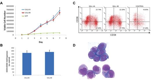 Figure 3. Characterization of SALL4-transduced HSC cells. (A) Growth curves of CD34+ cells transduced with SALL4A, SALL4B, or GFP and cultured in media containing 75% less cytokines. After transduction, 50 000 cells of each group were cultured in stringent conditions in which normal cytokine concentrations were decreased by 75%. HSCs transduced with SALL4A or SALL4B continued to survive and expand over 7 days, whereas control cells growth halted at day 5. (B) Fold expansion of CD34+/CD38− cells 14 days after infection of lenti-SALL4A or -SALL4B versus control. Cells transduced with SALL4A demonstrated a 368-fold increase of CD34+/CD38− cells over control, whereas those transduced with SALL4B showed a 384-fold increase. Values are means + SD. (C) Phenotypic analysis of SALL4-induced hematopoietic stem cells 31 days after lentiviral infection. Human-specific antibodies CD34-PE and CD38-APC were used to compare SALL4-transduced HSCs versus 3-day control cells. Thirty-one days after lentiviral infection, the aged SALL4-induced cells continued to demonstrate similar phenotypic ratios compared with control cells for CD34+/C38−. FLOW analysis was carried out on 3 separate samples. Therefore, many of these aged cells still attained progenitor characteristics and had the ability to differentiate into various cells lines. (D) Thirty-one-day old SALL4-induced HSCs attain blastlike morphology. Aged 31-day-old SALL4-induced HSCs were Wright-Giemsa–stained. Many cells showed blastlike morphology including large nuclei and scant cytoplasm (100×). These cells represented a population of undifferentiated cells still visible 31 days after SALL4-lentiviral infection and expansion.