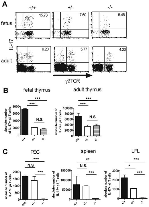 Figure 2. RORγt is partly required for the intrathymic development of IL-17–producing γδ T cells. (A-C) IL-17–producing γδ T cells in RORc+/+ (+/+), RORc+/− (+/−), and RORc−/− (−/−) mice. Single-cell suspensions of fetal (E16) and adult thymocytes (6 weeks old; A-B) or PEC, spleen, and LPL (4 weeks old; C) from RORc+/+ (+/+), RORc+/− (+/−), and RORc−/− (−/−) mice were stimulated with PMA and ionomycin and analyzed for intracellular staining for IL-17. (A) Representative dot plots of intracellular staining for IL-17 in fetal (top panels) and adult (bottom panels) thymi are shown after gating on CD3+ cells. The number in the top right quadrant indicates the percentage of IL-17+ cells in γδTCR+ cells. (B-C) Absolute numbers of IL-17+ γδ T cells in each organ are shown. Data shown are the means ± SD of 4-5 mice. *P < .05; **P < .01; ***P < .001. N.S. indicates statistically not significant between groups. Data are representative of 3 independent experiments.