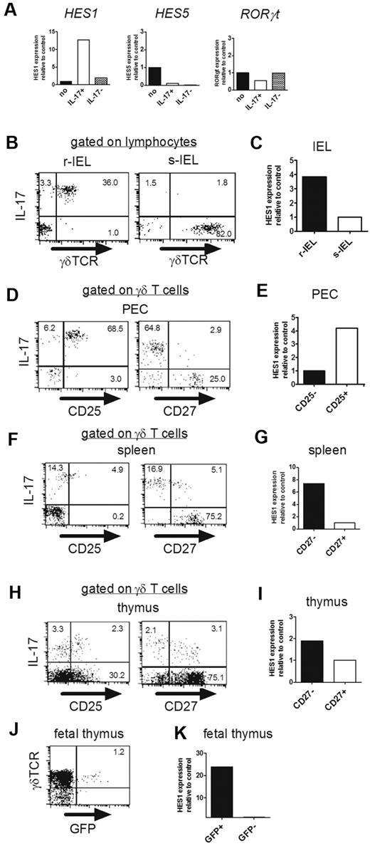 Figure 3. Hes1 is specifically expressed in IL-17–producing γδ T cells. (A) Hes1 is specifically expressed in IL-17–producing hybridoma clones. (A) mRNA expressions of Hes1, Hes5, and RORγt in parental hybridomas (no), IL-17–producing (IL-17+), and nonproducing (IL-17−) γδ TCR+ hybridoma clones were analyzed by qRT-PCR. (B-K) Hes1 is specifically expressed in IL-17–producing γδ T cells. (B,D,F,H) Purified γδ T cells from IELs (B), PECs (D), spleens (F), and thymi (8 weeks old; H) were stimulated with PMA and ionomycin and analyzed for intracellular IL-17. Representative dot plots are shown after gating on lymphocytes identified by FSC/SSC profile (B) or γδ TCR+ cells (D,F,H). The numbers in the respective quadrants indicate the percentages of positive cells. (C,E,G,I) Purified γδ T cells from IELs (6 weeks old; C) or sorted CD25high, CD25low, CD27high, and CD27low γδ T cells from PECs (E), spleens (G), and thymi (I) of CβKO mice (6 weeks old) were analyzed for the relative expression of Hes1. Hes1 expression of s-IELs (C), CD25− γδ T cells (E), or CD27+ γδ T cells (G,I) was set to 1. (J) Fetal thymocytes (E18) of IL-17–GFP reporter mice were analyzed after stimulation with PMA and ionomycin for 4 hours. The number in the top right quadrant indicates the percentage of IL-17+ cells in γδ TCR+ cells. (K) After sorting of GFP+ and GFP− cells, Hes1 mRNA expression was analyzed by qRT-PCR. Hes1 expression of GFP- γδ T cells was set to 1. Data are representative of 3 independent experiments.