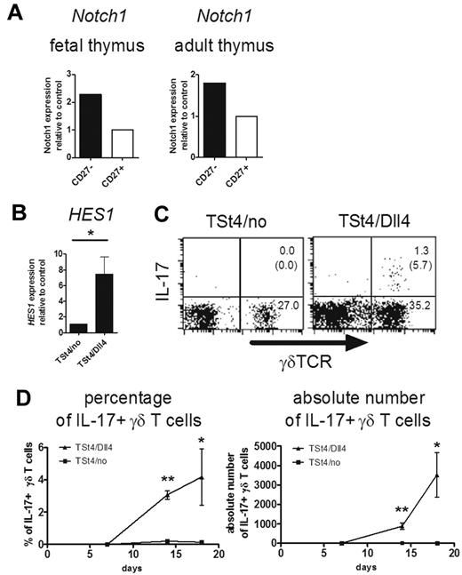 Figure 5. Critical role of Notch-Hes1 pathway for the development of IL-17–producing γδ T cells. (A) Notch1 expression of γδ T cells in the thymus. Sorted CD27high and CD27low γδ T cells from E18 fetal (left) or adult (right) thymi of CβKO mice (6 weeks old) were analyzed for the relative expression of Notch1. Notch1 expression of CD27+ γδ T cells was set to 1. (B-D) Dll4-mediated Notch signaling induces the development of IL-17–producing γδ T cells. Three thousand fetal thymocytes (E15) were cocultured with TSt-4/no or TSt-4/Dll4 stromal cells. (B) Hes1 expression was analyzed by qRT-PCR 14 days after the culture. Data shown are the means ± SD of 4 individual wells. *P < .05. (C-D) After coculture with TSt-4/no or TSt-4/Dll4 cells, IL-17 production by γδ T cells was analyzed after stimulation with PMA and ionomycin (C). Representative dot plots are shown after gating on CD45.2+ cells. The number in top right or bottom right quadrant indicates γδTCR+IL-17+ or γδTCR+IL-17− cells in CD45.2+ cells, respectively. The number in the parentheses shows the percentage of IL-17+ cells in γδ TCR+ cells. (D) Kinetics of percentages (left) or absolute numbers (right) of IL-17–producing γδ T cells are shown at the indicated days. Data shown are the means ± SD of 4 individual wells at each time point. *P < .05; **P < .01. Data are representative of 3 independent experiments.