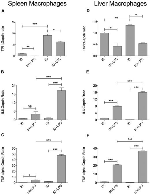 Figure 2. Increased inflammatory response in splenic and hepatic macrophages from LPS-treated ID mice. Splenic and liver macrophages were isolated from IR and ID mice treated or not with LPS (4 mice for each group), as described in “Isolation of resident macrophages.” TfR1 (A,D), IL6 (B,E), and TNFα (C,F) mRNA expression was quantified by SybrGreen qRT-PCR. Gapdh was used as the housekeeping gene. mRNA expression ratio was normalized to an IR mean value of 1. Error bars indicate SE; ns, not significant; *P < .05; **P < .005; and ***P < .0001.