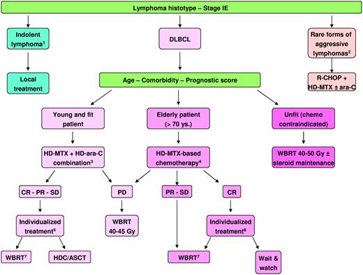 Figure 4. Flow chart of therapeutic management of PCNSL in everyday practice. (1) Mostly marginal zone B-cell lymphoma, small lymphocytic lymphoma, and lymphoplasmacytic lymphoma. (2) Mostly intravascular large B-cell lymphoma and neurolymphomatosis. (3) Conclusion from the IELSG no. 20 trial.40 (4) Several regimens are available (Table 3). (5) A higher amount of available evidence suggests WBRT. The discussion with selected patients about the pros and cons of the use of consolidation WBRT or HDC/ASCT is recommended. (6) Available literature suggesting that some elderly patients in CR after primary chemotherapy could be watchful waited without OS impairment is constituted by a few small retrospective series. However, to delay WBRT until relapse is an acceptable strategy considering the increased risk of disabling neurotoxicity in these patients. (7) Radiation field and dose should be chosen on the bases of response to primary chemotherapy. WBRT dose reduction to 23-30 Gy in patients in CR after chemotherapy is recommended. DLBCL indicates diffuse large B-cell lymphoma; HD-MTX, high-dose methotrexate; ara-C, cytarabine; WBRT, whole-brain radiotherapy; CR, complete remission; PR, partial response; SD, stable disease; PD, progressive disease; and HDC/ASCT, high-dose chemotherapy supported by autologous stem cell transplantation.