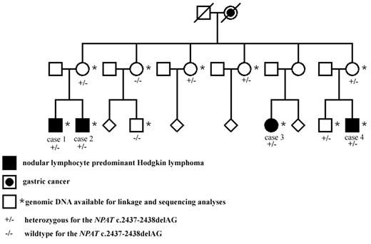 Figure 1. The Finnish NLPHL family. The NLPHL patients as well as those family members whose blood sample was available for linkage analysis and genetic studies are shown. The NPAT deletion status is also shown. The pedigree has been modified for confidentiality.
