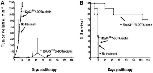Figure 5. Leukemia xenograft regression and survival after PRIT with 213Bi- or 90Y-DOTA-biotin at equivalent absorbed doses. Athymic mice bearing HEL xenografts were injected intravenously via tail vein 2 days after tumor cell implantation with 1.4 nmol of anti-CD45 Ab-SA conjugate followed 22 hours later with 5.8 nmol of CA and subsequently with 1.2 nmol of radiolabeled DOTA-biotin 3 hours later to deliver an absorbed dose of 10 Gy from each radionuclide delivered to the liver (112 μCi 90Y-DOTA-biotin and 800 μCi 213Bi-DOTA-biotin). Control tumor-bearing control mice were untreated. (A) Tumor volume curves are not truncated. (B) Mice were also analyzed for survival as a function of time.