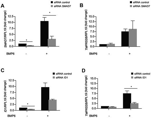 Figure 3. TMPRSS6 expression is controlled by ID1 in response to BMP6. Hep3B cells transfected with 10nM of siRNA control, siRNA SMAD7 (A-B), or siRNA ID1 (C-D), and treated in the absence or presence of 25 ng/mL of BMP6 for 24 hours were analyzed for TMPRSS6 (B,D) SMAD7 (A), and ID1 (C) mRNA expression relative to RPL19 mRNA by quantitative real-time RT-PCR. Results are reported as the mean ± SEM for the fold change from mock, and significant changes represent the comparisons with mock (siRNA control alone). Significant changes are as follows: *P < .05.