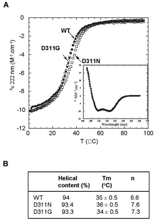 Figure 2. Folding and dimeric stability of the WT and mutant CC2-LZ domains bearing D311N and D311G mutations. (A) Thermal denaturation curves of WT (●), D311N (□), and D311G (○), followed by CD at 222 nm, at a concentration of 8μM (0.1 mg/mL). (Inset) Far-UV CD spectra of WT, D311N, and D311G recorded at 1°C and at 8μM. (B) Secondary structure contents deduced from the deconvolution of the spectra at 1°C, melting temperatures (Tm), and cooperativities (n) calculated from the thermal denaturation profiles with a 2-state model.