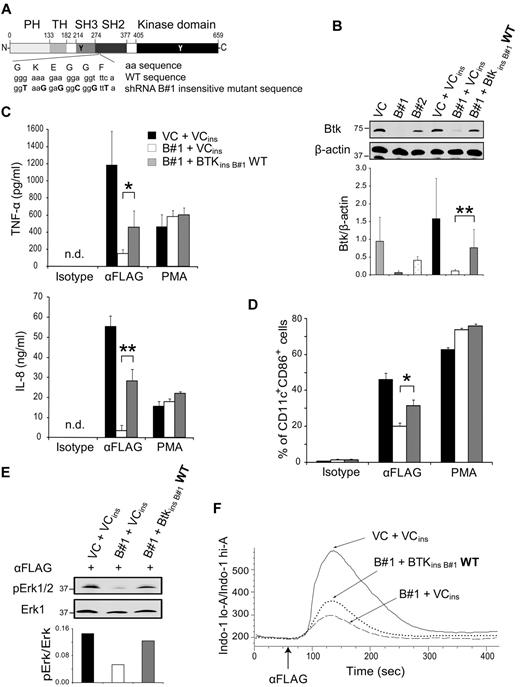 Figure 3. Expression of Btk insensitive to the B#1 shRNA restores the defects of the Btk knockdown cell line. (A) A schematic picture of the construct used to prepare the Btk rescue cell line, U937-TD-B#1-BtkinsB#1WT, is depicted. (B) Whole cell lysates of U937-TD–derived cells were analyzed by immunoblotting with anti-Btk and anti–β-actin mAbs. LumiImager signals of the ratio between Btk and β-actin are displayed as mean ± SD from 7 independent experiments. (C, D) U937-TD–derived cells were incubated with either plate-bound anti-FLAG or isotype-matched control mAbs or PMA. (C) ELISA analysis of supernatants collected after 8 (TNF-α) or 16 (IL-8) hours. Data are displayed as mean ± SD from ELISA performed at least in duplicates of duplicate cultures. (D) Expression analysis of CD11c and CD86 after 48 hours by flow cytometry is shown. Data are displayed as mean ± SD from duplicate cultures. (E) U937-TD–derived cells were stimulated with the anti-FLAG mAb for 5 minutes. Postnuclear supernatants were analyzed by immunoblotting with anti–pErk1/2 and anti–Erk1 Abs. LumiImager signals were quantified, and the ratio between pErk1/2 and Erk1 was calculated. (F) Ca2+ mobilization of Indo-1 AM-labeled U937-TD–derived cells was analyzed by flow cytometry. Cells were stimulated with the anti-FLAG mAb at the time point indicated by the arrow. One representative experiment of 7 (B), of 5 (C,F), of 4 (D) and of 3 (E) independent experiments is shown. *P < .05 and **P < .005 (Student t test). ins indicates insensitive; and WT, wild-type.