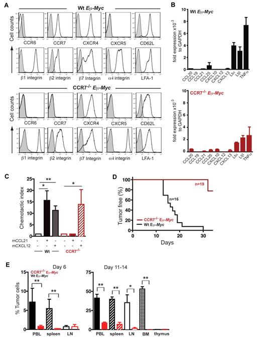 Figure 1. CCR7 expression is crucial for lymphoma cell homing to SLOs and lymphomagenesis. (A) Surface expression of maturation/differentiation markers, chemokine receptors, and adhesion molecules on B220+ gated tumor cells derived from LNs of lymphomatous Wt Eμ-Myc or CCR7−/− Eμ-Myc transgenic mice was assessed by flow cytometry (n = 4-7 mice per marker; isotype control; shaded curve). (B) Quantitative RT-PCR of chemokine and LT transcripts in tumor cells of Wt Eμ-Myc (n = 3 or 4) or of CCR7−/− Eμ-Myc (n = 3) transgenic mice. Transcript expression was normalized to glyceraldehyde-3-phosphate dehydrogenase. (C) Chemotaxis of tumor cells derived from Wt Eμ-Myc transgenic mice or from CCR7−/− Eμ-Myc transgenic mice toward CCL21 (100nM) and CXCL12 (25nM). Error bars represent SD for 3 or 4 independent experiments with triplicates per each group. *P ≤ .05; **P ≤ .01. (D) Tumor-free survival of mice that received 1 × 105 tumor cells derived from Wt Eμ-Myc transgenic mice or from CCR7−/− Eμ-Myc transgenic mice. Pooled data of 3 independent experiments are shown (n = 5-8 mice per group in each independent experiment. (E) Infiltration of Wt Eμ-Myc compared with CCR7−/− Eμ-Myc tumor cells into peripheral blood (PBL), spleen, and LNs of recipient congenic Wt mice on day 6, and tumor cell infiltration into PBL, spleen, LN, bone marrow (BM), and thymus of recipient congenic Wt mice on days 11 to 14 was quantitated by flow cytometry analysis after intravenously tumor cell application. Percentage of infiltrating tumor cells per organ was determined by gating on B220+/CD45.2+ double-positive cells (n = 4 mice per group on day 6; n = 5-14 mice (PBL, spleen, and LN) and n = 3-5 mice (BM, thymus) per group on days 11 to 14. *P ≤ .05; **P ≤ .01.