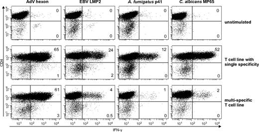 Figure 2. Functionally active single- and multipathogen-specific CD4+ and CD8+ T cells are enriched after selection and expansion. Percentage of IFN-γ–positive CD4+ T cells after 14 days of enrichment. Cells were stimulated with the respective antigens and assessed by ICC (representative example, n = 4 with ≥ 2 repetitions).