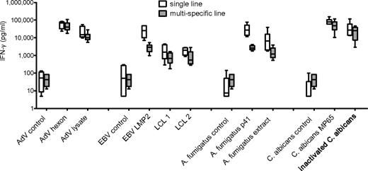 Figure 5. Peptide pool–specific T-cell lines respond to endogenously processed antigen. T-cell lines specific for AdV hexon protein, EBV LMP2, A fumigatus p41 peptide, C albicans MP65, or multipathogen-specific lines were restimulated with peptide pool or natural antigen (AdV lysate, 2 different partially matched EBV-transfected LCLs, A fumigatus cell extract, and ethanol-inactivated C albicans) and responses assessed by IFN-γ ELISA. Medians and range of at least 5 independent experiments of 3 different donors are shown. All differences between single- versus multipathogen-specific line and stimulation with peptide versus natural antigen were statistically not significant.