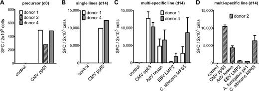 Figure 7. Specificity of multipathogen-specific T-cell lines can be extended to CMV. (A) Precursor frequencies of T cells specific for the CMV pp65 peptide pool in PBMCs of 3 different donors assessed by IFN-γ ELISPOT assay. (B) Frequency of T cells specific for the CMV pp65 peptide pool after 14 days of expansion in single cultures. (C) Frequencies of T cells specific for the CMV pp65 peptide pool, the AdV hexon peptide pool, the EBV LMP2 peptide pool, and the C albicans MP65 peptide pool, and (D) in addition A fumigatus Crf1 peptide p41 after 14 days of expansion in multipathogen-specific cultures. Frequencies were determined by IFN-γ ELISPOT assay and are expressed as SFCs/2 × 105 cells (n = 2). The differences in the number of antigen-specific cells after expansion between single- and multipathogen-specific lines were not statistically significant.