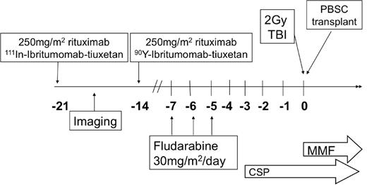 Figure 1. Treatment schema. CSP indicates cyclosporine; and MMF, mycophenolate mofetil.