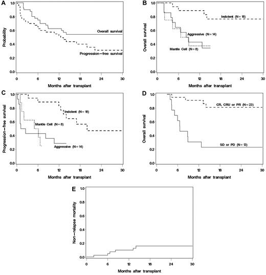 Figure 4. (A) OS and PFS of all treated patients. (B) OS by histology. (C) PFS by histology. (D) Landmark analysis of OS based on response at 3 months after transplantation. (E) Cumulative incidence of NRM.