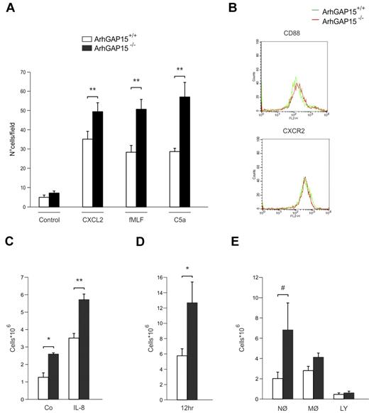 Figure 3. Loss of ArhGAP15 causes increased in vitro and in vivo neutrophil migration. (A) Boyden chamber chemotaxis analysis of ArhGAP15+/+ and ArhGAP15−/− neutrophils; n = 5/genotype. (B) Representative fluorescence-activated cell sorter analysis of neutrophil CD88 and CXCR2 expression; n = 3/genotype. (C) Neutrophil recruitment to air pouches after saline (Co) or IL-8 injection; n = 6/genotype. (D-E) Peritoneal total cell recruitment and cellular subpopulation (MØ macrophages, NØ neutrophils, and LY lymphocytes) analysis after intraperitoneal administration of 1 × 107 colony-forming unit of E. coli; n = 14/genotype. #P < .05. *P < .01. **P < .001.