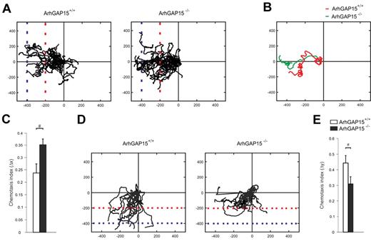 Figure 4. ArhGAP15-null neutrophils showed increased directional migration but decreased turning ability. (A-E) Under-agarose migration experiments. (A) Center-zeroed tracks of ArhGAP15+/+ and ArhGAP15−/− neutrophils migrating toward C5a (left). (B) Single-cell tracks of a typical ArhGAP15+/+ and ArhGAP15−/− neutrophil. (C) Measurement of chemotactic index toward C5a (Δx). (D) Center-zeroed tracks of ArhGAP15+/+ and ArhGAP15−/− neutrophils migrating from a primary CXCL2 gradient in the x-axis (left) toward a secondary C5a gradient in the y-axis (bottom). (E) Measurement of chemotactic index toward C5a (Δy). For each experiment, n = 4 movies/genotype. #P < .05.