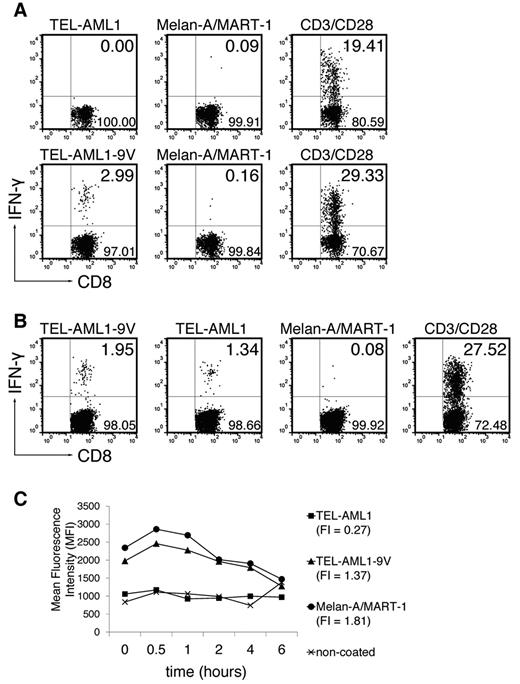 Figure 1. TEL-AML1 cannot prime CD8+ T cells unless an anchor modification is introduced, and exhibits very low HLA-A*0201 binding affinity. (A) ABabDII mice were immunized subcutaneously with the native TEL-AML1 peptide (top row) or the anchor-modified TEL-AML1-9V (bottom row), mixed with CpG oligodeoxynucleotides, PBS and IFA. They were boosted twice, and splenocytes and draining LNs were isolated 10-14 days later. The cells were in vitro restimulated overnight with 10−6M corresponding peptide (TEL-AML1 or TEL-AML1-9V), with an irrelevant peptide - anchor-modified Melan-A/MART-1, or with anti-CD3/CD28 antibodies. The cells were stained for CD8, as well as for CD3 and IFN-γ intracellularly, and analyzed by flow cytometry. Events shown are gated on CD3+CD8+ lymphocytes; numbers indicate percentages of cells in the respective quadrants (IFN-γ+ cells residing in the upper right). For the native peptide, 1 representative of 5 analyzed mice is shown; for the anchor-modified, 1 of 3 is shown. (B) ABabDII mice were immunized with the anchor-modified TEL-AML1-9V, and pooled spleen and LN cells were restimulated either with the anchor-modified, the native, the irrelevant peptide or anti-CD3/CD28 antibodies as described in panel A. One representative of 3 mice is shown. (C) T2 cell assay. Cells were either coated with TEL-AML1, TEL-AML1-9V or Melan-A/MART-1 at the final concentration 10−5M, or left uncoated. On the next day, they were stained for HLA-A*0201 and analyzed by flow cytometry. The graph shows changes in MFI during 6 hours and FI of each peptide. One of 2 experiments with similar results is shown.