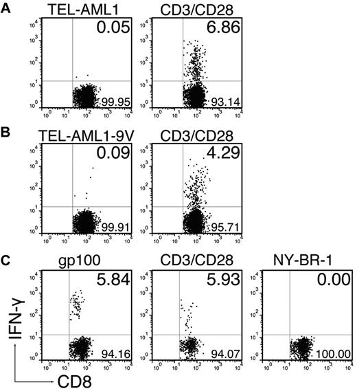 Figure 3. Elongated peptides comprising the TEL-AML1 epitope cannot evoke CD8+ T-cell responses. ABabDII mice were immunized subcutaneously in the tail base with 30-mer peptides, comprising either (A) the native TEL-AML1 sequence, (B) the anchor-modified TEL-AML1-9V sequence, or (C) the anchor-modified gp100, mixed with CpG oligodeoxynucleotides, PBS, and IFA. In the cases of the TEL-AML1 native and anchor-modified peptide, some of the mice were additionally boosted after 2 weeks with the corresponding peptides. Spleen and draining LNs were isolated 10 days after the immunization, or boosting. The cells were in vitro restimulated overnight either with 10−6M corresponding nonamer peptide (TEL-AML1, TEL-AML1-9V, or gp100), an irrelevant peptide (NY-BR-1) or with anti-CD3/CD28 antibodies. The cells were stained for CD8, as well as for CD3 and IFN-γ intracellularly and analyzed by flow cytometry. Events shown are gated on CD3+CD8+ lymphocytes; numbers indicate percentages of cells in the respective quadrants. In the case of gp100 one representative of 3 analyzed mice is shown, and in the cases of the TEL-AML1 anchor-modified, as well as the native peptide, 1 representative of 6 analyzed mice is shown.
