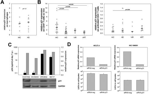 Figure 4. High p21 expression in HIC CD4+ T cells is not directly involved in HIV restriction. (A) Levels of p21 mRNA in MDMs from HICs and HDs at the time of infection (after 7-10 days of differentiation from monocytes). Each symbol represents one person. Median values for each group are shown. (B) Levels of p21 mRNA in nonactivated CD4+ T cells from HICs, HDs, viremic HIV-1–infected patients (VIR) and patients on effective HAART (ART; left). Levels of p21 mRNA in CD4+ T cells from HICs, HDs, VIRs, and ARTs after 5 days of activation with anti-CD3 (right). (A-B) The results are expressed as relative expression levels compared with cDNA in CD4+ T cells from one HD who was used as a common reference throughout the study. (C) Levels of HIV-1 replication 7 days after infection with replicative HIV-1 BaL (■) in CD4+ T cells from 2 HIC, 1 VIR, and 1 HD (top), and levels of p21 protein at the time of infectious challenge (bottom). The ratio of the optical densities of the p21 and GAPDH signals were calculated for each sample with Photoshop CS3 software (Adobe), and reported in the graph () relative to the HD control. (D) Levels of p21 mRNA in anti–CD3-activated CD4+ T cells from one HD and one HIC 24 hours after nucleofection of irrelevant and p21-specific siRNAs (top). Luciferase activity 48 hours after challenge of nucleofected cells with single-cycle HIV-1VSV-G (bottom). Cells were challenged 24 hours after nucleofection. Means ± SDs of 3 independent measures are shown.