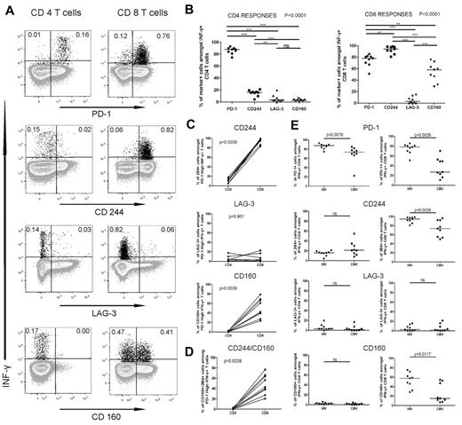 Figure 5. HIV-specific CD4 T cells express lower levels of the inhibitory molecules 2B4 and CD160 than HIV-specific CD8 T cells. (A) Expression of PD-1, 2B4, and CD160 on IFN-γ-producing HIV Gag-specific CD4 and CD8 T cells from an HIV viremic subject. (B) Statistical comparison of frequencies of HIV Gag-specific CD4 (i) and CD8 (ii) T cells that express the receptors described in panel A; analysis was performed using repeated-measures analysis of variance and Tukey post-test for pair-wise comparison. (C) Comparison of the percentage of cells that express 2B4 (i), LAG-3 (ii), and CD160 (iii) between the PD-1high CD4 and CD8 T cells. (D) Comparison of the frequency of cells expressing 2B4 and CD160 between the PD-1high CD4 and CD8 T cells. (E) Analysis of the expression of the inhibitory receptors on HIV- and CMV-specific CD4 and CD8 T cells; all statistics for the comparisons in panel E were performed using the Wilcoxon matched-pairs test.