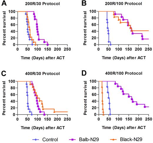 Figure 2. Balance between host preconditioning and transferred cell dose determines the antitumor benefit provided by allogeneic T-bodies. Kaplan-Meyer survival plots of Renca-Her2/Neu-bearing mice. Mice (n = 12/group) were irradiated and then either left untreated as a control (blue diamonds), or systemically administered with syngeneic T-bodies (Balb-N29, purple squares) or allogeneic T-bodies (Black-N29, orange triangles). The results shown are pooled from 2 independent experiments. P values were computed for each experiment separately using the log-rank test, and combined using the Fisher method. (A) Protocol consisting of 200 rad irradiation and 30 × 106 T-bodies (200R/30). Balb-N29 or Black-N29 vs control P = .000004. (B) Protocol consisting of 200 rad irradiation and 100 × 106 T-bodies (200R/100). Balb-N29 or Black-N29 vs control P = .000004. (C) Protocol consisting of 400 rad irradiation and 30 × 106 T-bodies (400R/30). Balb-N29 or Black-N29 vs control P = .000004. (D) Protocol consisting of 400 rad irradiation and 100 × 106 T-bodies (400R/100). Balb-N29 vs control P = .000004. In this protocol, mice receiving the Black-N29 died from GVHD manifested by severe cachexia (supplemental Figure 1).