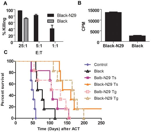 Figure 3. Both antibody based chimeric receptor and TCR-based allo-reactivity contribute to the antitumor response. (A) Preactivated allogeneic T cells (either transgenic T-bodies—Black-N29 or wild-type—Black) were incubated with Renca-Her2/neu-luciferase cells at the indicated ratios. Killing activity was quantified by measuring the bioluminescent signal after 24 hours (no killing was observed using Black cells at 1:1 and 5:1 ratios). (B) Preactivated allogeneic T cells (either transgenic T-bodies—Black-N29 or wild-type—Black) were incubated with Renca-Her2/neu cells, and thymidine incorporation was measured 24 hours later. (C) Kaplan-Meyer survival plots of Renca-Her2/Neu-bearing mice. Mice (n = 6/group) were irradiated with 200 rads, and 1 day later either left untreated as a control (blue diamond), or injected with 100 × 106 T cells. The T cell populations used were either: allogeneic mock transduced T cells (Black, empty black triangles, P = .0011 vs control), syngeneic T cells transduced with the N29 CAR (Balb-N29 Ts, filled purple squares), allogeneic T cells transduced with the N29 CAR (Black-N29 Ts, filled orange triangles, P = .0005 vs Black, P = .012 vs Balb-N29), syngeneic T cells from N29 transgenic Balb/c mice (Balb-N29 Tg, open pink squares, no significant difference was seen vs transduced cells), or allogeneic T cells from N29 transgenic C57BL/6 mice (C57BL-N29 Tg, open brown triangles, no significant difference was seen vs transduced cells).