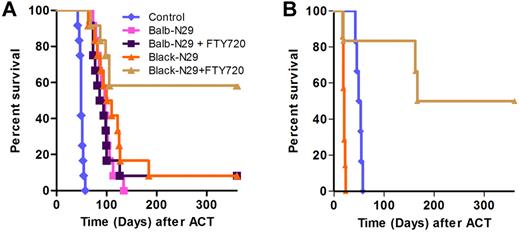 Figure 5. FTY720 augments allogeneic but not syngeneic adoptive cell therapy. (A) Kaplan-Meyer survival plots of Renca-Her2/Neu-bearing mice. Mice (n = 12/group) were irradiated with 400 rads, and 1 day later either left untreated as a control (blue diamond), or injected with 30 × 106 transgenic T-bodies. Some groups received FTY720 0.3mg/kg intraperitoneally for 10 days after transfer. T cells were either: syngeneic T-bodies (Balb-N29, pink squares), syngeneic T-bodies with FTY720 (Balb-N29, purple squares), allogeneic T-bodies (Black-N29, orange triangles), allogeneic T-bodies with FTY720 (Black-N29, brown triangles, Black-N29+FTY720 vs Black-N29, P = .013). P values were computed separately for each experiment using the log-rank test and combined using the Fisher method. (B) FTY720 suppresses GVHD but augments ACT of high dose of allo–T-bodies. As in panel A, Renca-Her2/Neu-bearing mice, (n = 6/group) were irradiated with 400 rads, and 1 day later either left untreated as a control (blue diamond), or injected with 100 × 106 allogeneic T-bodies either with (brown triangles) or without FTY720 (orange triangles).