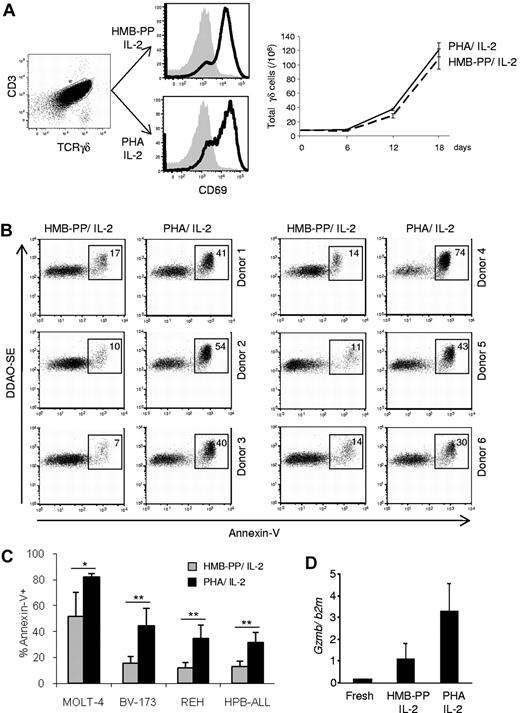 Figure 1. Enhanced antileukemia cytotoxicity of γδ PBL cultures activated with pan–T-cell mitogen. (A) γδ peripheral blood lymphocytes (γδ PBLs) were MACS-sorted from the peripheral blood of healthy volunteers (left panel), and stimulated with either HMB-PP and IL-2 or PHA and IL-2 for 4 to 19 days. Activation was evaluated by flow cytometry for CD69 up-regulation (middle panels; levels in freshly isolated control cells are shaded), and total cell numbers are shown on the right panel. (B-C) Preactivated (for 14 days, as in panel A) γδ PBLs were coincubated with DDAOse-labeled leukemia cells for 3 hours. Tumor cell lysis was evaluated by annexin-V staining using flow cytometry. (B) Representative results of 6 different donors for the Bv173 leukemia cell line. Percentages refer to annexin-V+ tumor cells. Basal tumor cell apoptosis (in the absence of γδ PBL) was < 5%. (C) Summary of the results of 6 different donors with 4 leukemia target cell lines. Error bars represent SD (n = 6, *P < .05; **P < .01). (D) Real-time PCR quantification of GzmB mRNA levels in freshly isolated, HMB-PP and IL-2–activated and PHA and IL-2–activated γδ PBL. Data in this figure are representative of 2 to 3 independent experiments with similar results.