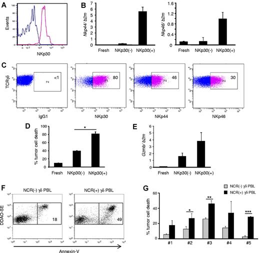 Figure 6. NKp30+ γδ PBLs are a stable subset endowed with enhanced cytotoxicity against chronic lymphocytic leukemia cells. NKp30+ and NKp30(−) γδ PBLs were FACS-sorted from 14-day PHA and IL-2–activated cultures. (A) Reanalysis of NKp30 expression in the purified populations. (B) Real-time PCR quantification of Nkp44 (left) and Nkp46 (right) mRNA levels in NKp30− or NKp30+ γδ T cells, compared with freshly isolated γδ PBLs. Error bars represent SD (n = 3). (C) Sorted NKp30+ γδ PBLs were cultured in the presence of IL-2. Analysis of NKp30, NKp44 and NKp46 expression after 14 days. (D) NKp30− or NKp30+ γδ T cells, or freshly isolated γδ PBLs, were used in killing assays with the leukemia cell line Bv173 (as in Figure 1). Tumor cell death was evaluated by annexin-V staining (n = 3, *P < .05). (E) Real-time PCR quantification of GzmB mRNA levels in freshly isolated, NKp30(−) or NKp30+ γδ T cells. Error bars represent SD (n = 3). (F-G) Representative plots (F) and data summary (G) for 5 primary B-cell chronic lymphocytic leukemia samples that were used in killing assays (as in Figure 1) with γδ PBLs obtained from 6 distinct donors and activated with either HMB-PP and IL-2 or PHA and IL-2. NCR(-) γδ PBL from HMB-PP and IL-2–activated cultures (gray bars) were compared with NCR(+) γδ PBL from PHA and IL-2–activated cultures (black bars). Error bars represent SD (n = 6, *P < .05; **P < .01; ***P < .001).
