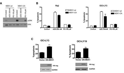 Figure 3. MEK overexpression and deletion. (A) DLBCL cells were transduced with wild-type or constitutively active MEK1 using retroviral delivery. After transduction of constitutively active MEK1, cells were treated with PD98059 (100μM) or AZD6244 (200nM for Raji and 300nM for OCI-LY3). Expression of pERK and ERK was determined by Western blot analysis using specific antibodies in OCI-LY3 cells with constitutively active MEK1 in the presence of PD98059 or AZD6244. (B) Raji and OCI-LY3 cells were treated with PD98059 or AZD for 48 hours after transduction with MEK1-CA retrovirus. Apoptosis was measured by annexin V/PI staining followed by flow cytometry. (C) OCI-LY3 and OCI-lY19 cells were transfected with vector alone or dominant negative (DN)–MEK1. After 72-hour transfection, apoptosis was measured by annexin V/PI staining and assessed by flow cytometry. Expression of DN-MEK1 was confirmed by Western blotting using HA antibody. CA indicates constitutively active; wt, wild-type; AZDAZD6244; and PD, PD98059.