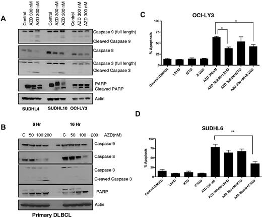 Figure 4. AZD6244 induces caspase-dependent apoptosis. (A) All cell lines were treated with the indicated concentrations of AZD6244 for 18 hours. Protein levels were measured by immunoblotting using specific antibodies. (B) Caspase and PARP cleavage in PBMCs from a DLBCL patient. These results are representative of 3 total DLBCL patients. Cells were incubated with the indicated concentrations of AZD6244 for 6 and 16 hours. Cell lysates was subjected to Western blotting using caspase and PARP antibodies. (C) OCI-LY3 and (D) SUDHL6 cells were preincubated with 50μM caspase inhibitor for 2 hours followed by incubation with 200nM or 300nM for 48 hours. Apoptosis was determined by annexin V/PI staining followed by flow cytometric analysis.