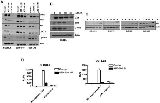 Figure 5. AZD6244 induces decrease in cell-cycle regulatory and antiapoptotic proteins. (A) Cells were incubated with 200nM and 300nM AZD6244 for 18 hours. Protein levels were measured in whole cell lysates by immunoblotting using indicated antibodies. (B) Down-regulation of MCL1, BCL2 and c-MYC in the whole cell lysate of PBMC afterAZD6244 exposure for 18 hours. (C) Induction of p27 by AZD6244 in all the cell lines afterincubation with 200nM AZD6244 for 18 hours. (D) SUDHL6 and OCI-LY3 cells were incubated with AdM4 Myc reporter or mutant Myc reporter adenovirus for 4 hours. After 24-hour transduction, cells were incubated with 200nM AZD6244 in SUDHL6 and 300nM in OCI-LY3 cells for 24 hours followed by luciferase assay.