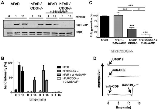 Figure 3. CalDAG-GEFI synergizes with P2Y12 signaling in Rap1 activation downstream of FcγRIIA. (A) Time course of Rap1 activation on stimulation of hFcR and hFcR/CDGI−/− platelets with 10 μg/mL anti-CD9 in the absence or presence of 100μM 2-MeSAMP. (Bottom panel) Total Rap1 as loading control. (B) Densitometric analysis of Rap1-GTP shown as percentage of maximal activation (mean ± SEM, n = 3). (C) TxB2 levels in the supernatant of hFcR and hFcR/CDGI−/− platelets 4 minutes after stimulation with 5 μg/mL anti-CD9 in the absence or presence of 100μM 2-MeSAMP. Data are mean ± SEM (n = 6). *P < .05. ***P < .001. ns indicates not significant. (D) Aggregation response of hFcR/CDGI−/− platelets activated with 1 μg/mL anti-CD9, 5μM U46619 (TxA2 analog), or the combination of both agonists. Traces are representative of 4 independent experiments.