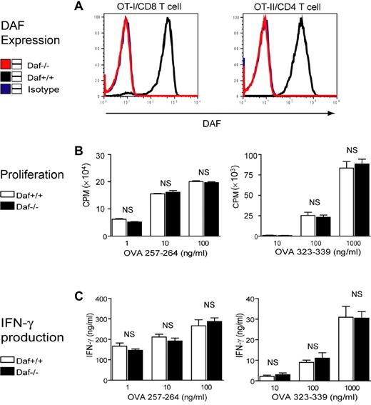 Figure 1. DAF expression on ovalbumin-specific TCR-transgenic T cells does not affect T-cell response to specific antigen stimulation. (A) FACS-staining analysis confirmed that both CD4+ and CD8+ T cells from Daf+/+ but not Daf−/− TCR transgenic mice expressed high levels of DAF on their surface. (B,C) Purified Daf+/+ or Daf−/− OT-II CD4+ (right panels) or OT-I CD8+ (left panels) T cells were cocultured with irradiated unfractionated splenocytes of C57BL/6 WT mice for 3 days in the presence of different concentrations of peptide OVA323-339 or OVA257-264, respectively. T-cell proliferation (B) was measured by 3H-TdR incorporation and IFN-γ production (C) was measured by ELISA. Data are representatives of 3 independent experiments. NS indicates not significant. P > .05.