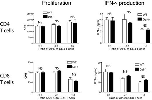 Figure 2. DAF expression on polyclonal T cells does not impact their response to allogenic antigen stimulation. Purified polyclonal CD4+ (top panels) or CD8+ (bottom panels) T cells from normal C57BL/6 WT or Daf−/− mice were cocultured at different ratios with irradiated splenocytes as APCs from BALB/c mice for 3 days. T-cell proliferation (left panels) was measured by 3H-TdR incorporation and IFN-γ production (right panels) was measured by ELISA. Data are representatives of 3 independent experiments. NS indicates not significant. P > .05.