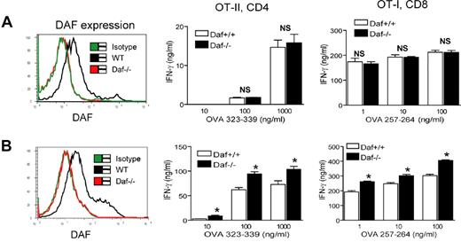 Figure 4. Splenic DCs from LPS-treated but not naive Daf−/− mice are more potent T-cell stimulators than similarly treated WT DCs. (A) FACS analysis (left panel) showing that splenic DCs from naive WT but not Daf−/− mice expressed DAF. There was no difference between splenic DCs from naive WT and Daf−/− mice in their ability to stimulate OT-II CD4+ or OT-I CD8+ T cells, as measured by IFN-γ production (right panel). NS indicates not significant. P > .05. (B) FACS analysis (left panel) showing that splenic DCs from LPS-treated WT but not Daf−/− mice expressed DAF. DCs from LPS-treated Daf−/− mice were more potent than similarly harvested WT mouse DCs in stimulating OT-II CD4+ or OT-I CD8+ T cells, as measured by IFN-γ production. *P < .05. All data are representative of 3 independent experiments.