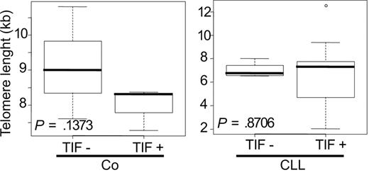 Figure 4. Telomere damages are not correlated with telomere shortening in CLL cells. Telomere restriction fragment analyzes were done on B lymphocytes purified from 12 healthy donors and 20 CLL patients. Box plot showing telomere size, with corresponding Wilcoxon test–calculated P values in cells bearing (TIF+) or not (TIF−) TIF among the healthy (Co, left) or the CLL panel (CLL, right).