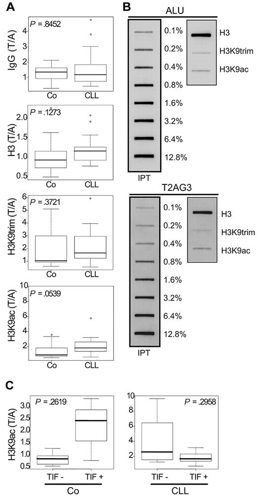 Figure 5. Telomeric histone modifications. (A-C) Immunoprecipitations against histone H3 (H3), trimethylated H3K9 (H3K9trim), and acetylated H3K9 (H3K9ac) were performed on chromatin isolated from B cells of 21 CLL patients and 12 healthy donors. An irrelevant IgG instead of specific antibodies was used in the control condition. Slot-blot analyses of telomeric and Alu sequences enrichment were performed using specific probes. Specific enrichment in immunoprecipitated fraction was estimated relatively to the INPUT fraction, and quantified thanks to a total input dilution range. (A,C) Box plots show relative enrichments of telomeric versus Alu sequences (T/A) for different immunoprecipitations. Corresponding Wilcoxon tests P values are inserted in box plots. (A) Comparison of ChIP realized on CLL B cells (CLL) versus normal B cells (Co) and (C) comparison of ChIP results obtained among normal (Co) or CLL (CLL) B cells bearing (TIF+) or not (TIF−). (B) Representative result of a ChIP experiment performed on B cells from a CLL patient, showing, on the left the input range (IPT) used for the quantification and on the right the dots obtained after deposit of 10% of total H3, H3K9trim and H3K9ac immunoprecipitates. The membrane was revealed using ALU (top) or telomeric probes (bottom).