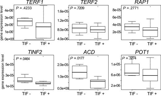 Figure 6. Shelterin component mRNA level in CLL B cells in function of TIF presence. Normalized genes expression level of TERF1, TERF2, RAP1, TINF2, ACD, and POT1. mRNA were extracted from purified B cells of 20 CLL patients demonstrating (TIF+) or not (TIF−) telomeric damages. Wilcoxon test calculated P values are indicated in each corresponding box plot.