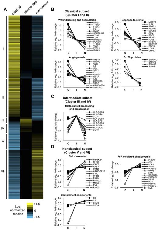 Figure 3. Hierarchical clustering of differentially expressed genes and the representative GO categories associated with the genes most highly expressed by each monocyte subset. (A) Hierarchical clustering using city block distance and average linkage of the 1554 differentially expressed genes (P < .05, fold change ≥ 1.5) reveals 6 distinct clusters. Clusters I and II are composed of 862 genes most highly expressed by the classical subset, clusters III and IV with 135 genes most highly expressed by the intermediate subset, and clusters V and VI with 557 genes most highly expressed by the nonclassical subset. The relative log2 fold change for each gene is shown by the corresponding heat maps. The most highly expressed genes from each subset were analyzed for enrichment of categories in Gene Ontology biologic processes using DAVID tools. Representative categories and associated genes enriched for the (B) classical, (C) intermediate, and (D) nonclassical subset are shown. The log2 levels of associated genes normalized to the intermediate subset are shown and listed according to decreasing MFI for the classical monocyte subset. C indicates classical monocyte subset: I, intermediate monocyte subset; and N, nonclassical monocyte subset.