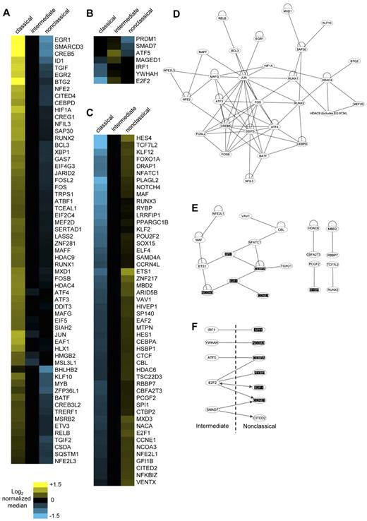 Figure 4. Transcription factor genes most highly expressed by each monocyte subset and the analysis of their protein-protein interactions. Transcription factors most highly expressed by (A) classical, (B) intermediate, and (C) nonclassical subsets are shown. The normalized log2 MFIs for each gene are illustrated in corresponding heat maps. Possible known direct protein-protein interactions between the transcription factors most highly expressed by the (D) classical, (E) nonclassical, and (F) the intermediate plus nonclassical subset combined were revealed using Ingenuity Pathway Analysis. Common transcription factor genes found in panels E and F are highlighted. Lines represent direct protein-protein interactions; loops, homodimerization; and arrows, direct increase in expression.