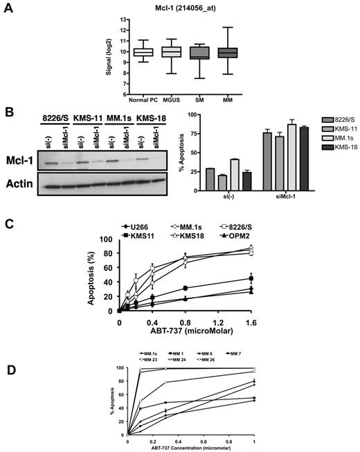 Figure 1. All MM cells are dependent on Mcl-1, although they differ in their sensitivity to ABT-737. (A) mRNA levels for Mcl-1 were derived from the analysis of normalized gene expression profile data deposited at GEO from CD138-selected plasma cells from healthy donors: normal PC (n = 22), monoclonal gammopathy of undetermined significance (n = 44), smoldering myeloma (SM, n = 12), and newly diagnosed MM (MM, n = 538). The data are taken from the 214056_at probe on the affymetrix Hu133 2.0 plus array. Similar results were obtained from the 214057_at probe (not shown). (B) Four myeloma cell lines were transfected with siRNA for Mcl-1 and efficiency of knock-down was determined by Western blot (left panel), whereas the apoptosis of each cell line 16 hours after transfection was measured by annexin PI assays. P values compare with si(-), P < .005 (KMS11, MM.1s), P < .001 (8226, KMS18). (C) Six myeloma cell lines were treated with indicated doses of ABT-737 for 24 hours, and apoptosis was measured by annexin V/PI staining. Data are mean ± SD of 4 independent experiments. (D) CD138+ cells purified from bone marrow aspirates of 6 MM patients were incubated with the indicated concentrations of ABT-737 for 24 hours and apoptosis determined by annexin V/PI staining. Each sample was run in parallel with MM.1s (●), which is presented as the mean ± SD of the 6 experiments. The 50% inhibitory concentration values for each sample are as follows (μM): MM.1s, 0.65; MM1-0.3, MM6-0.58, MM7-0.92, MM23-0.1, MM24, and MM26, < 0.1.