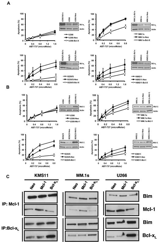 Figure 6. Bcl-xL and Mcl-1 overexpression protect codependent cell lines from ABT-737–induced apoptosis. U266, MM.1s, 8226/S, and KMS-11 cell lines were stably transfected with pcDNA3.1 (Neo) and (A) pcDNA–Bcl-xL or (B) pcDNA–Mcl-1 vectors. Cell lines were treated with indicated concentrations of ABT-737 for 24 hours, and viability was determined by annexin V/PI staining. The data presented are the mean ± SD of at least 3 independent experiments. U266–Bcl-xL is significantly different from U266-Neo (P < .05) at 0.1μM ABT-737. MM.1s-Bcl-xL is significantly different from MM.1s-Neo at all concentrations of ABT-737 (0.1μM, P < .05; 0.2μM, P < .001; 0.4-0.8μM, P < .005). 8226-Bcl-xL is significantly different from 8226-Neo at all concentrations of ABT-737 (P < .005). MM.1s-Mcl-1 is significantly different from MM.1s-Neo (P < .005) at 0.4 to 0.8μM ABT-737. KMS11-Mcl-1 is statistically different from KMS11-Neo (P < .05) at all concentrations of ABT-737. 8226-Mcl-1 is significantly different from 8226-Neo (P < .001) at all concentrations of ABT-737. (C) Protein lysates were obtained using 2% 3(3-cholamidopropyl) dimethylammonio-1-propane sulfonate buffer for the indicated transfectants of KMS11, MM.1s, U266. Antiapoptotic proteins Mcl-1 and Bcl-xL were immunoprecipitated using specific monoclonal antibodies as described in “Antibodies” and “Coimmunoprecipitation studies.” The pellets were probed for Bim, Mcl-1, and Bcl-xL. The blots are representative of 2 independent experiments.