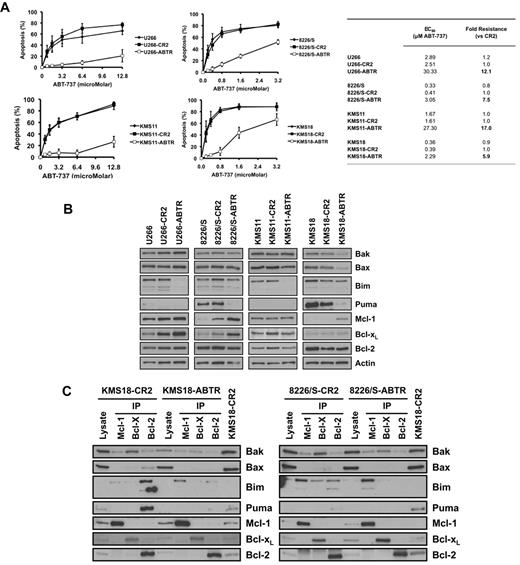 Figure 7. Acquired ABT-737 resistance is associated with changes in expression and interactions of Bcl-2 proteins. Four cell lines were rendered resistant to ABT-737 by sequentially increasing the ABT-737 concentration in their growth medium starting from 50nM up to 0.5μM (8226/S, KMS-18) or 2μM (KMS-11, U266). (A) Sensitivity (EC50) of parental, control resistance (CR2), and resistant (ABTR) cell lines to ABT-737 was determined by annexin V/PI staining after 24 hours of treatment. All ABTR cell lines are significantly different from CR2 cells at all concentrations of ABT-737 (P < .001), with the exception of KMS18 at 3.2μM ABT-737 (P < .005). (B) Expression of Bcl-2 family members and (C) interaction between these proteins were determined as described in “Antibodies” and “Coimmunoprecipitation studies.” For all experiments, the cells were removed from the selecting concentration 24 hours before the experiment.