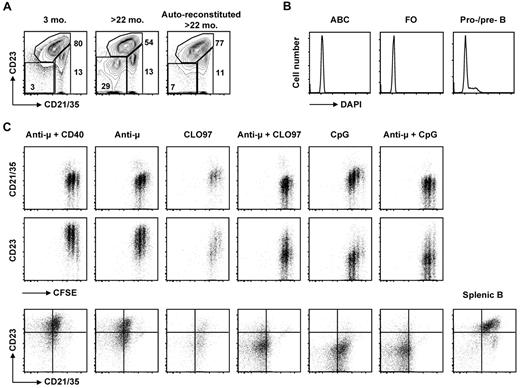 Figure 5. ABCs accumulate with age and can be generated from FO B cells on TLR stimulation in vitro. (A) Percentages of B-cell subsets in untreated young, aged, and autoreconstituted aged mice. The latter group of mice was sublethally irradiated (500R) on day 0 and allowed to reconstitute for 12 weeks. Gating strategy is the same as that described for Figure 1A. Similar results were observed in 3 independent experiments. (B) Cell-cycle analysis by DAPI for splenic ABC, FO, and BM pro-/pre- B cells from aged mice. (C) FO B cells from aged mice were sorted and CFSE-labeled, then cultured with stimuli shown for 3 days. Dead cells were excluded by DAPI staining. CD21/35 and CD23 expression on live cells is shown; CFSE dilution indicates cell division. CD19+ splenic B cells were analyzed on the same day as a reference for CD21/35 and CD23 expression (right-most plot).