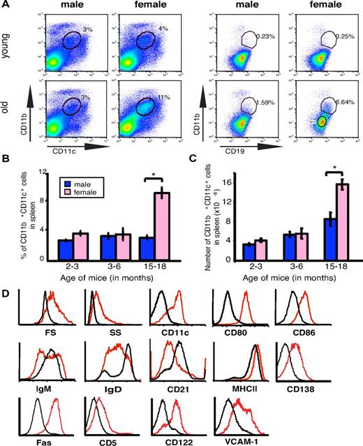 Figure 1. Elderly female mice contain an enlarged population of CD19+CD11b+CD11c+ B cells (ABCs). (A) Flow cytometric analysis of total spleen (left set of plots) or splenic B cells (gated as IgM+B220+CD4−CD8−NK1.1−; right set of plots) in young (< 12 weeks old) and elderly (> 1 year old) C57BL/6 mice. Data are representative of > 10 independent analyses. (B-C) Average percent and number of CD19+CD11b+CD11c+ cells in spleen of male (blue) and female (pink) C57BL/6 mice. *P < .01 (Student 2-tailed t test). (D) Flow cytometry of FO B cells (CD19+CD11b−; black) and CD19+CD11b+ B cells (red).