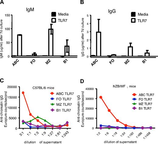 Figure 3. ABCs produce anti-chromatin antibodies on stimulation in vitro. ABCs and FO, MZ, and B1 B cells were isolated from C57BL/6 (A-C) or NZB/WF1 (D) mice and cultured for 7 days in the presence of medium or TLR7 agonist. Total IgM (A), IgG (B), and anti-chromatin IgG (C-D) were subsequently measured in supernatant by enzyme-linked immunosorbent assay. (A-B) Bars represent mean (± SEM) of 3 independent experiments. (C-D) Data are representative of 3 independent experiments.