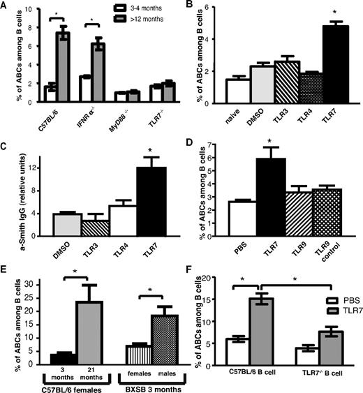 Figure 5. TLR7 and MyD88 signaling is required for ABC accumulation. (A) Average percentage of ABCs among B cell in spleen of young (12-16 weeks old) and aged (> 12 months old) C57BL/6, IFNR−/−, and TLR7−/−, MyD88−/− female mice. (B) Average percentage of ABCs among B cells in spleen of young (8-12 weeks old) C57BL/6 female mice after 30 immunizations with vehicle or the indicated TLR agonist. (C) Anti-Smith IgG autoantibodies were measured by ELISA in serum of mice chronically injected with TLR agonists. (D) Average percentage of ABCs among B cells in spleen of young (8-12 weeks old) C57BL/6 female mice after 30 immunizations with indicated TLR agonist. (E) Average percentage of ABCs among B cells in spleen of young (12-week-old) BXSB male and female mice. (F) Bone marrow chimeras possessing wild-type or TLR7−/− B cells were treated with vehicle or TLR7 agonist for 2 months, and the percentage of ABCs in the spleen was determined by flow cytometric analysis. Bars represent mean (± SEM) of at least 10 mice per group. *P < .05 (Student 2-tailed t test).